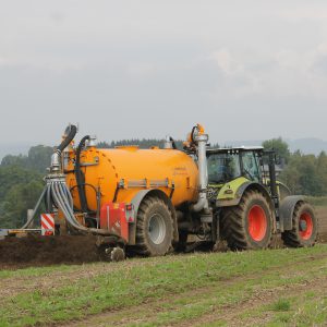 Pflanzliche Erzeugung